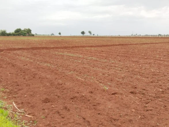 1 acre 39 guntas Land in Mogdampalle, Sangareddy - photo 1