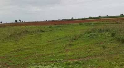 1 acre 39 guntas Land in Mogdampalle, Sangareddy - photo 3