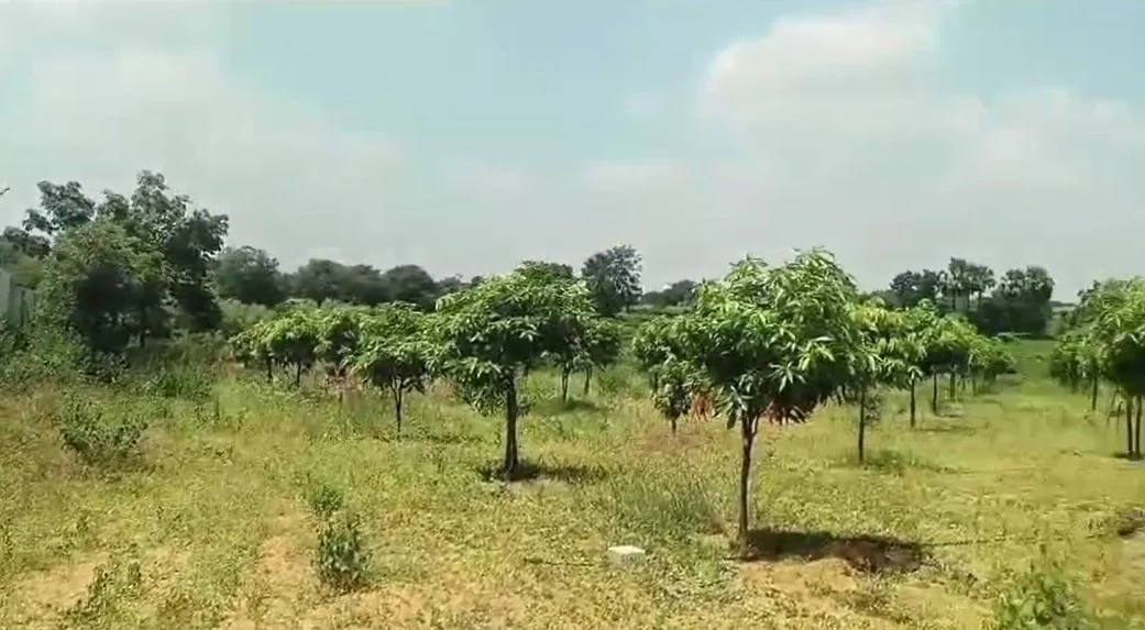 2 acres 30 guntas Land in Sivar Venkatapur, Siddipet - photo 1