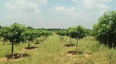 2 acres 30 guntas Land in Sivar Venkatapur, Siddipet - photo 2