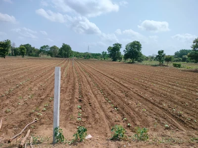 1 acre Land in Devuni Erravelly, Ranga Reddy - photo 3