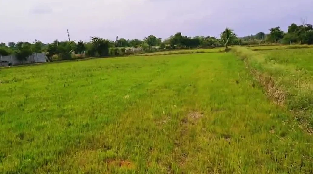 2 acres 20 guntas Land in Narsampalle, Siddipet - photo 1