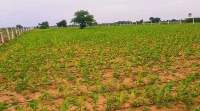35 guntas Land in Mylaram, Siddipet - photo 2