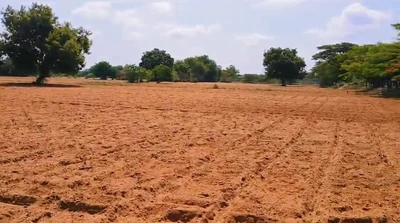 20 guntas Land in Pamulaparthi, Siddipet - photo 2