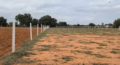 35 guntas Land in Mylaram, Siddipet - photo 5