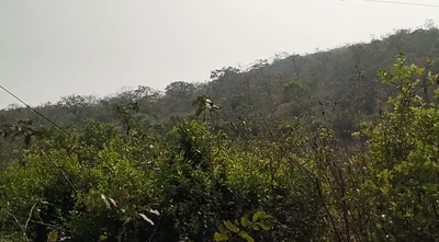 5.25 Acres Land in Agarvayangani, Ratnagiri - photo 2