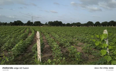 1 acre 24 guntas Land in Jakkepalle, Vikarabad - photo 2