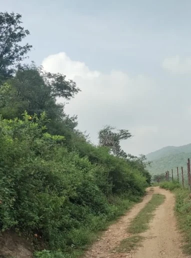 6.05 Acres Land in Tholampalayam, Coimbatore - photo 1