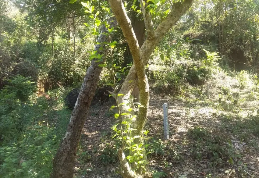 5180 square meters Land in Cola, South Goa - photo 1