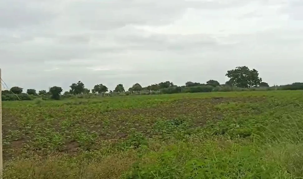 24 guntas Land in Ibrahimpalle, Ranga Reddy - photo 1