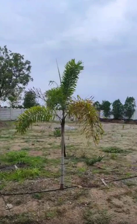 10 guntas Land in Damergidda, Ranga Reddy - photo 1