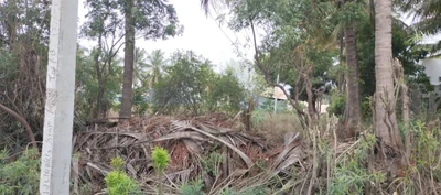 1.05 Acres Land in Neelambur (Ct), Coimbatore - photo 3