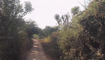 2.29 Acres Land in Meu, Mahesana - photo 3