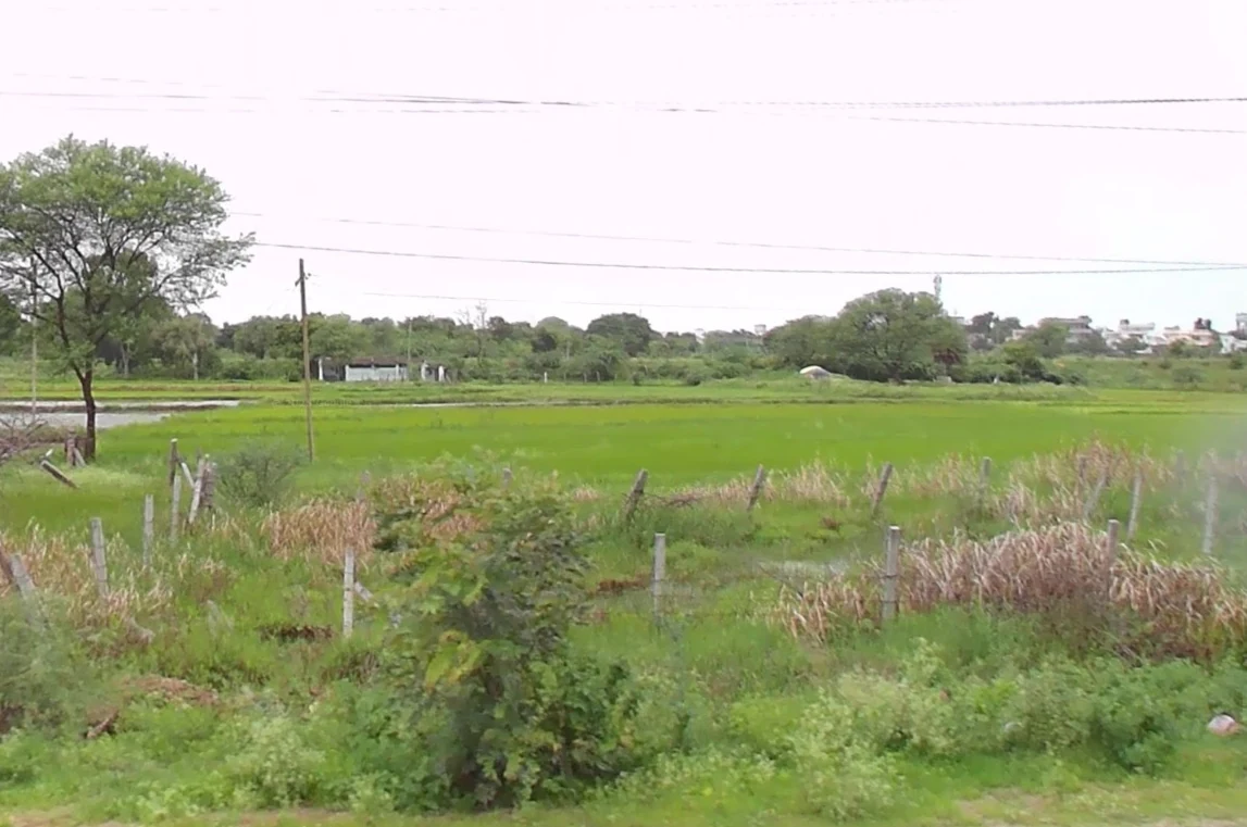 3 acres 28 guntas Land in Kothur, Ranga Reddy - photo 1