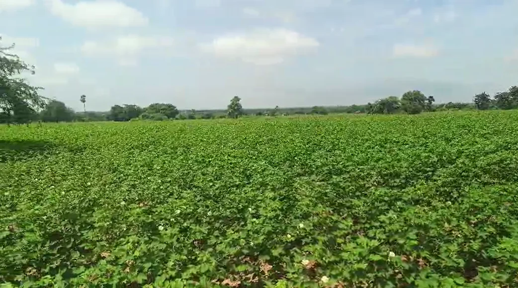 6 acres Land in Tadoor, Siddipet - photo 1
