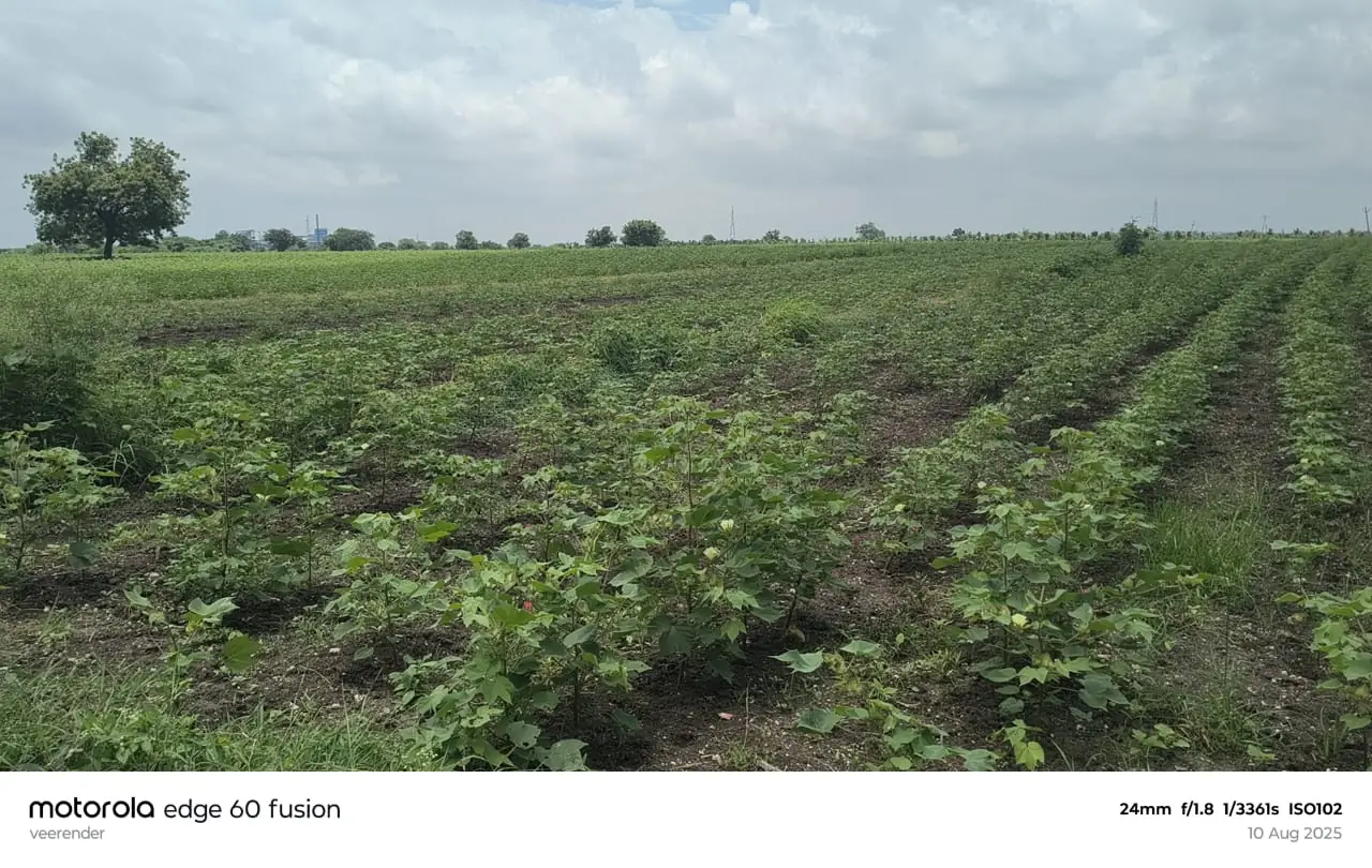 1 acre 11 guntas Land in Kokat, Vikarabad - photo 1