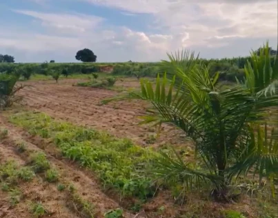 4 acres Land in Vadlur-Begumpet, Siddipet - photo 1