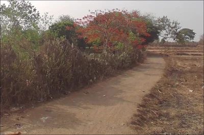 0.62 Acres Land in Wadawali, Raigad - photo 2