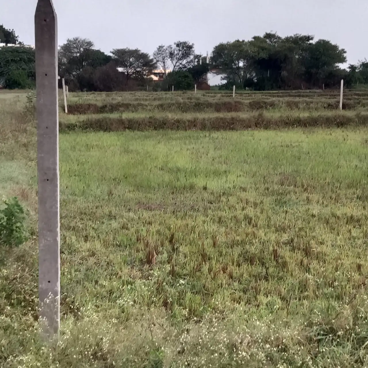30 guntas Land in Bachupalle, Ranga Reddy - photo 1