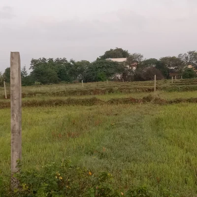 30 guntas Land in Bachupalle, Ranga Reddy - photo 2