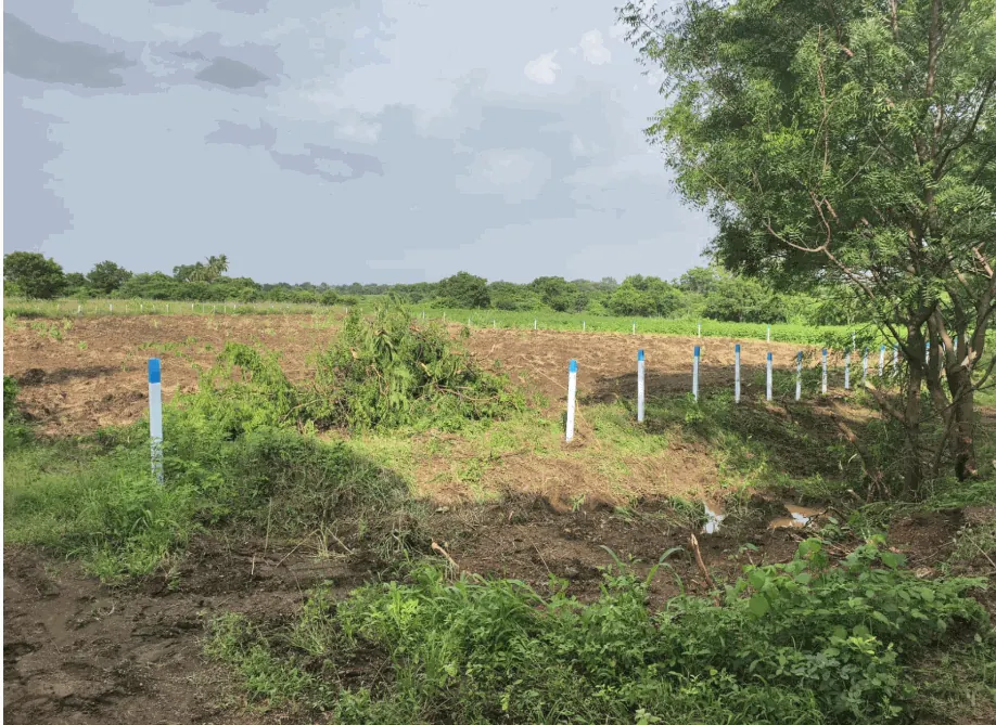 1 acre Land in Mirjapur[N], Sangareddy - photo 1