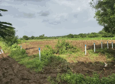 1 acre Land in Mirjapur[N], Sangareddy - photo 2