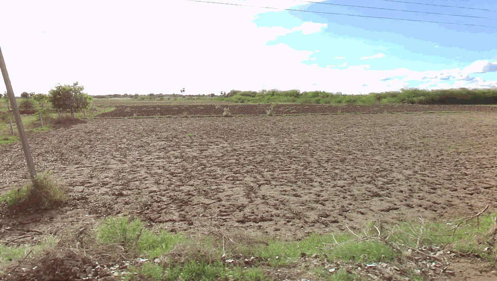 110 acres Land in Modepalle, Bapatla - photo 1