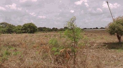 1 acre Land in Malkapur, Ranga Reddy - photo 2