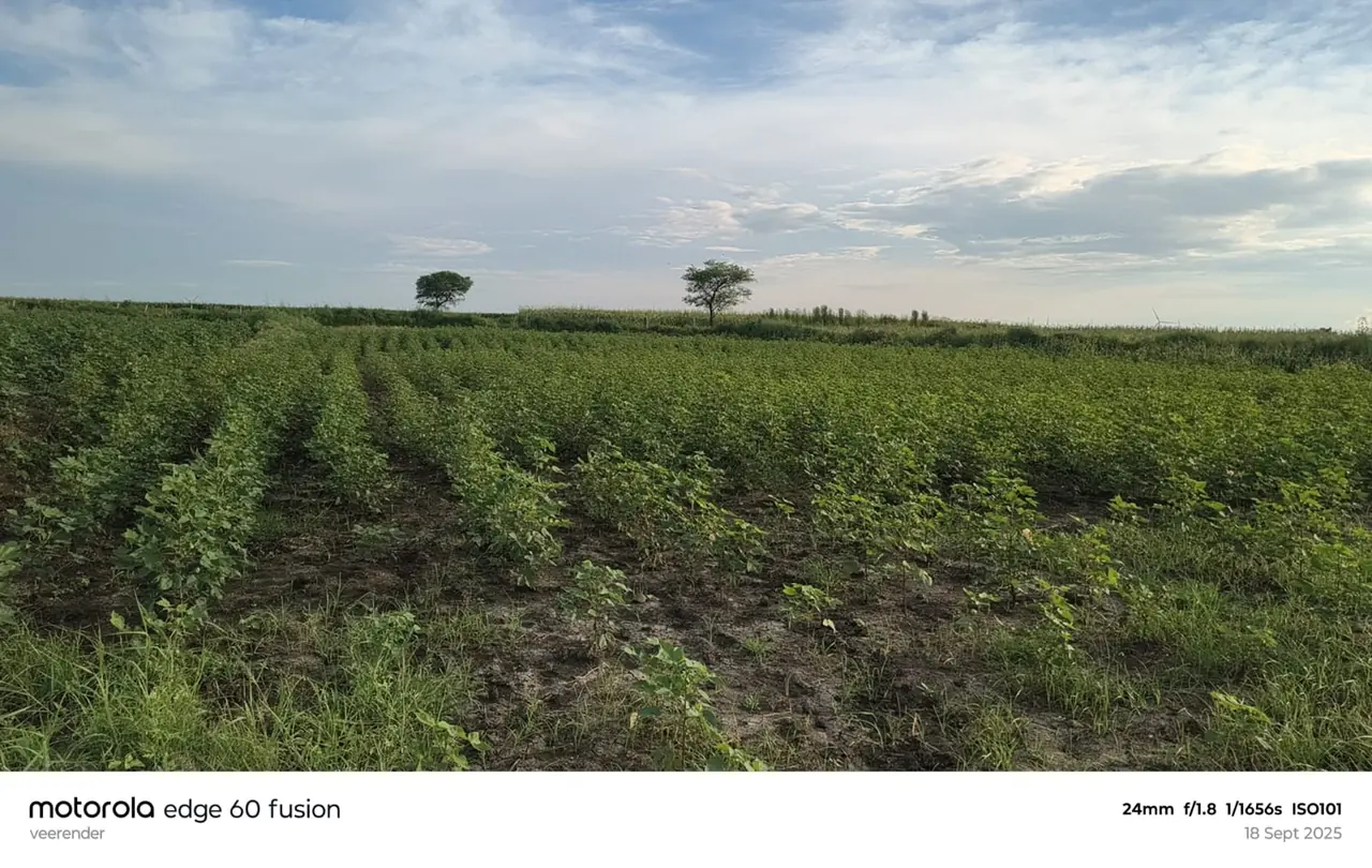 1 acre 28 guntas Land in Chityal, Vikarabad - photo 1