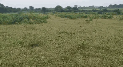 11 acres Land in Baswapur, Siddipet - photo 2