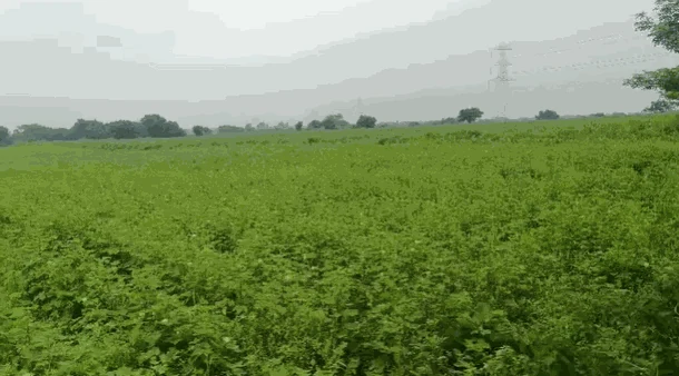 3 acres Land in Danampalle, Siddipet - photo 1