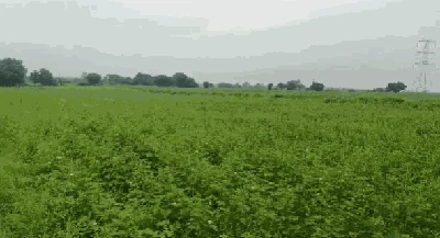 3 acres Land in Danampalle, Siddipet - photo 3