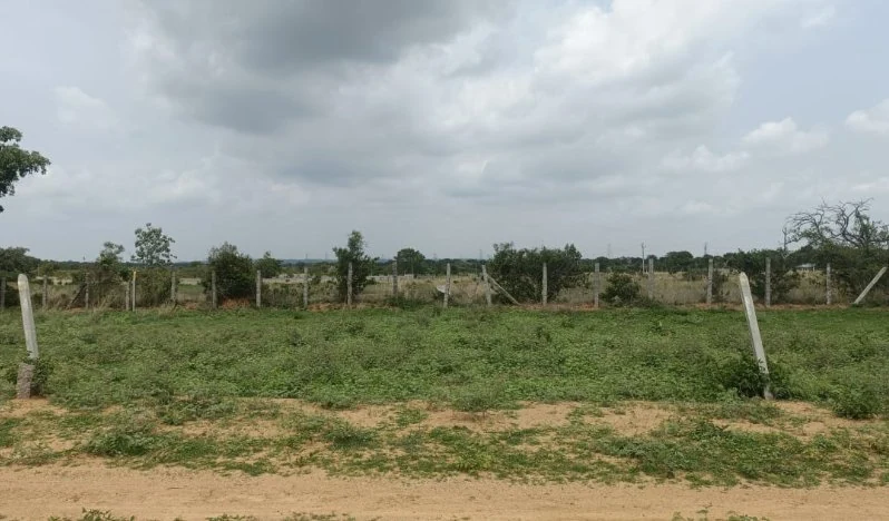 247 Sq Yards Plot in Dasarlapalle, Ranga Reddy - photo 1