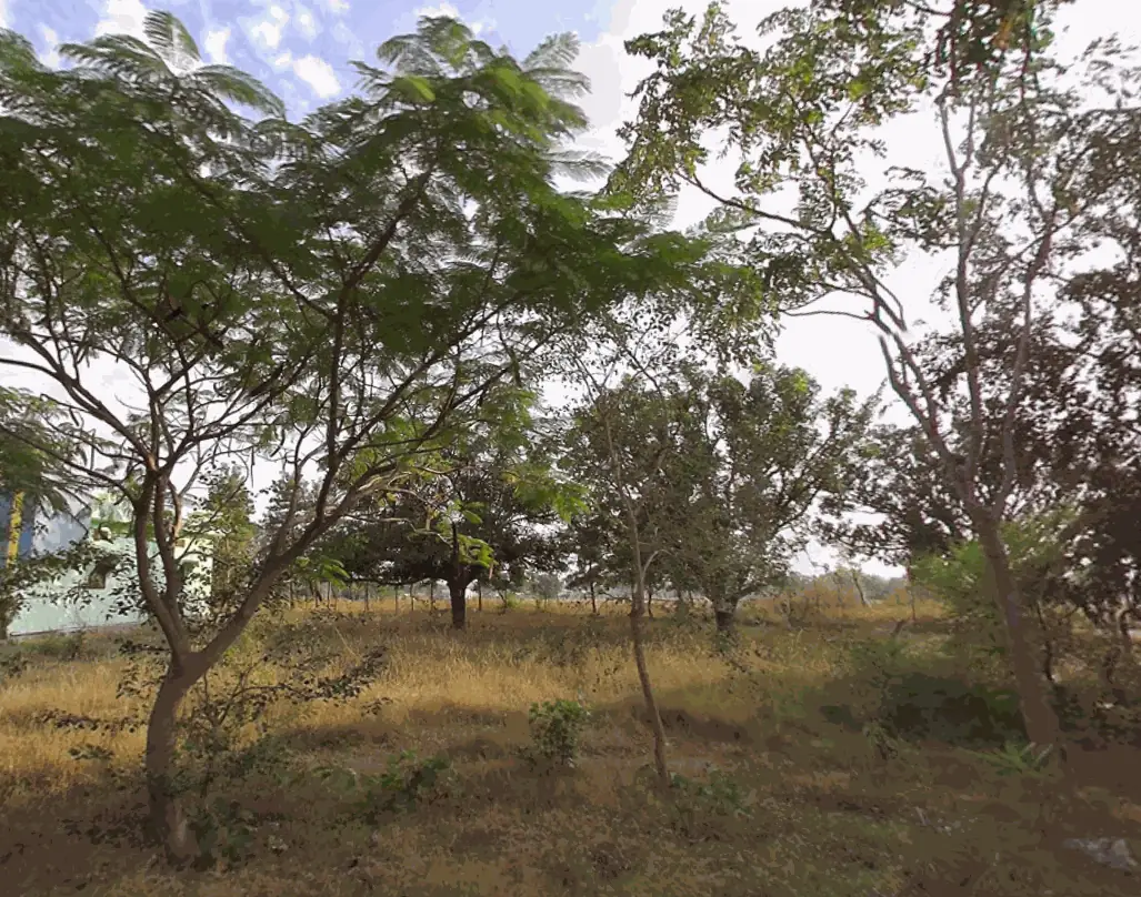 120 Sq Yards Plot in Ainapur, Siddipet - photo 1