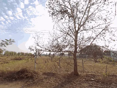120 Sq Yards Plot in Ainapur, Siddipet - photo 2