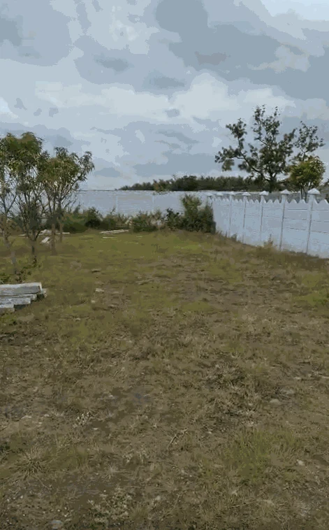 605 Sq Yards Plot in Damergidda, Ranga Reddy - photo 1
