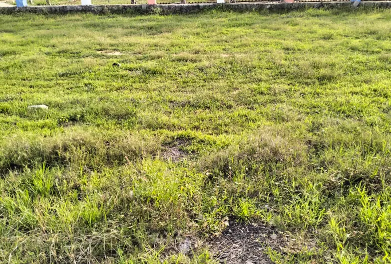 178 Sq Yards Plot in Mansanpalle, Ranga Reddy - photo 1
