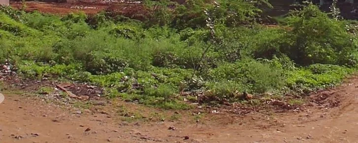 856 Sq Yards Plot in nowlur, Guntur - photo 1