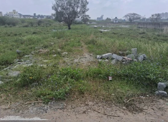3996 Sq Feet Plot in Neelangarai, Chennai - photo 1